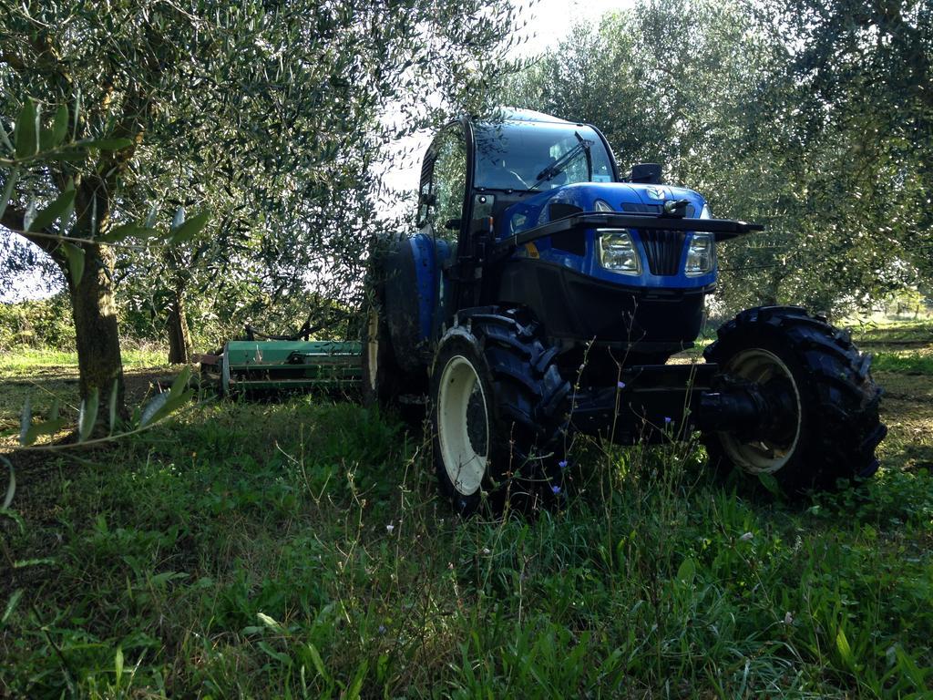 Fattoria Lucciano Villa Borghetto  Buitenkant foto
