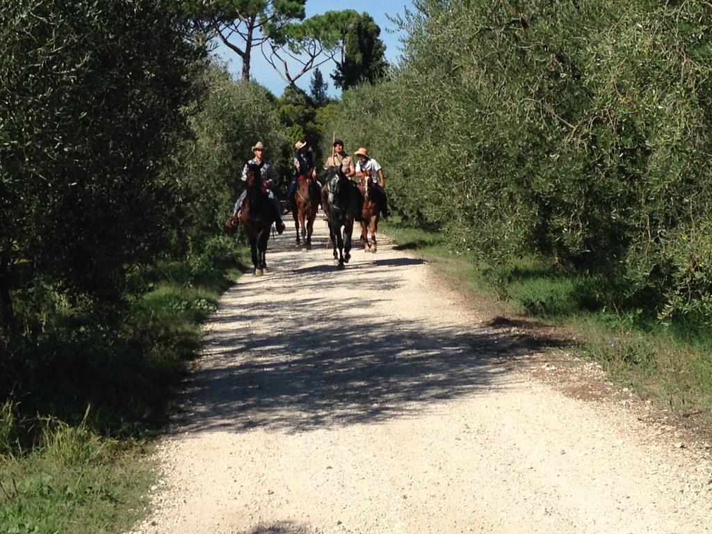 Fattoria Lucciano Villa Borghetto  Buitenkant foto