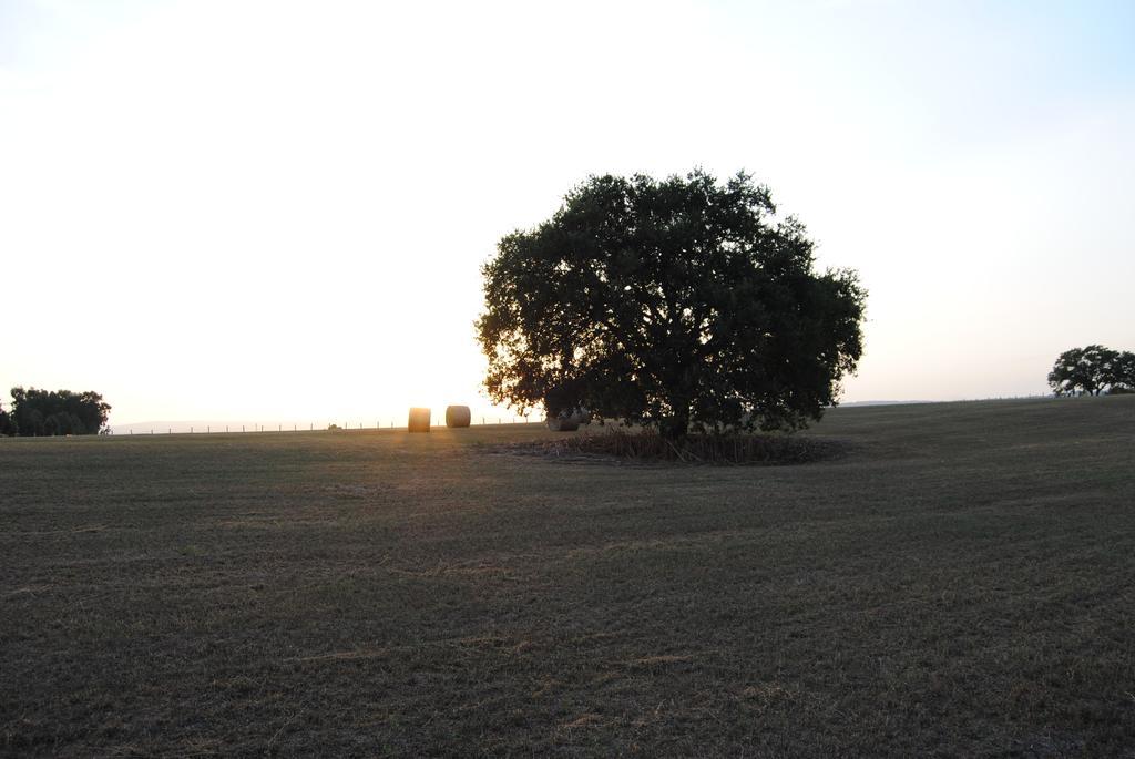 Fattoria Lucciano Villa Borghetto  Buitenkant foto