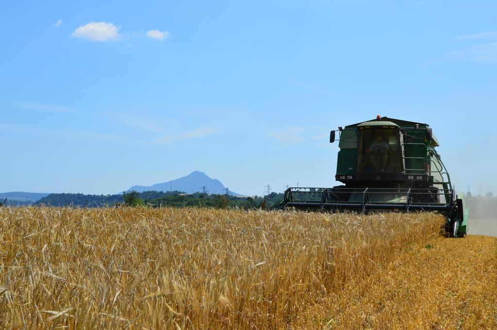 Fattoria Lucciano Villa Borghetto  Buitenkant foto
