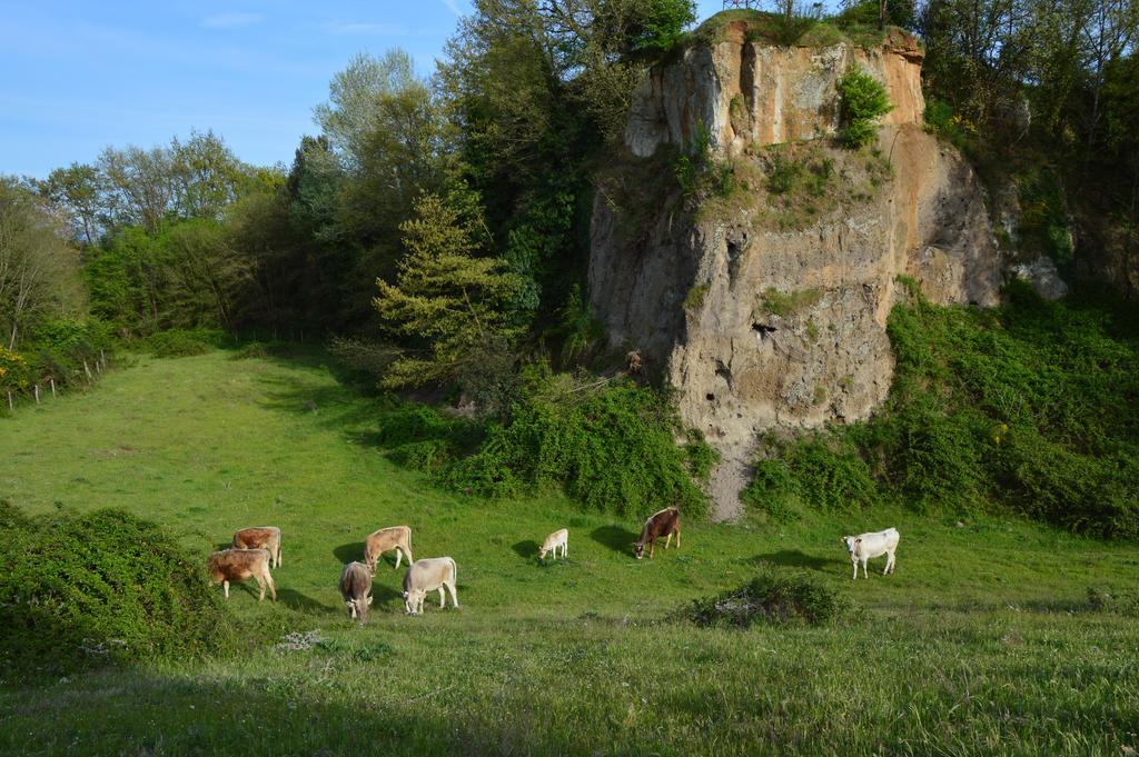 Fattoria Lucciano Villa Borghetto  Buitenkant foto
