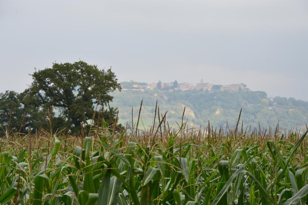 Fattoria Lucciano Villa Borghetto  Buitenkant foto