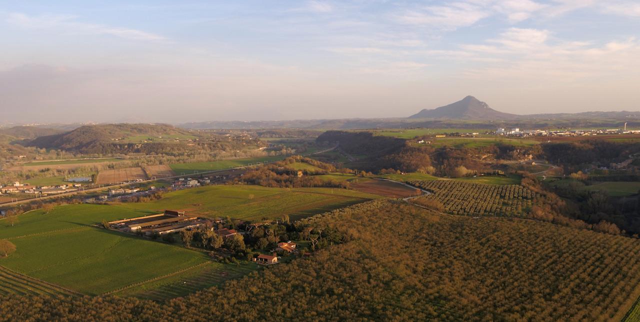 Fattoria Lucciano Villa Borghetto  Buitenkant foto