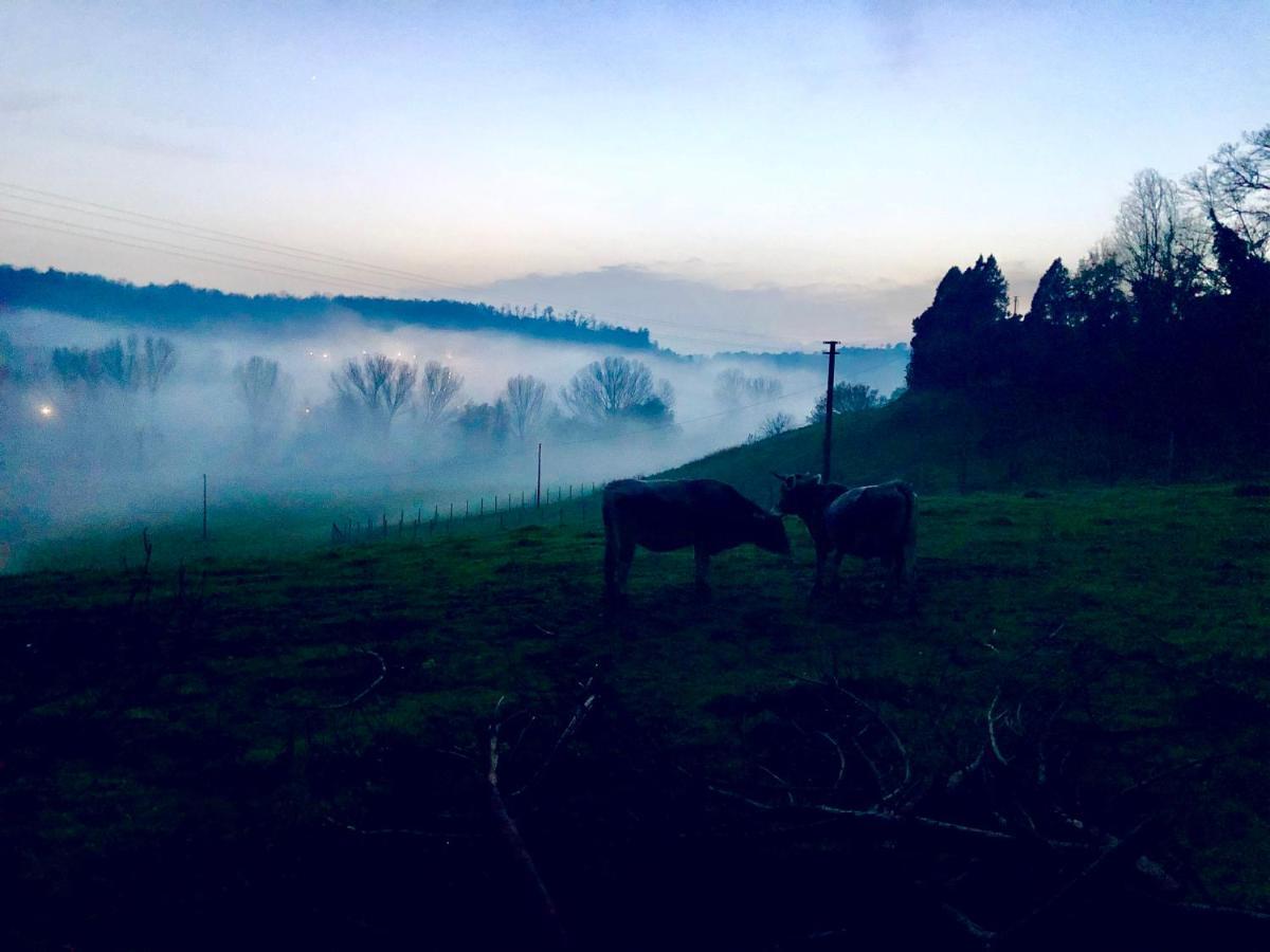 Fattoria Lucciano Villa Borghetto  Buitenkant foto
