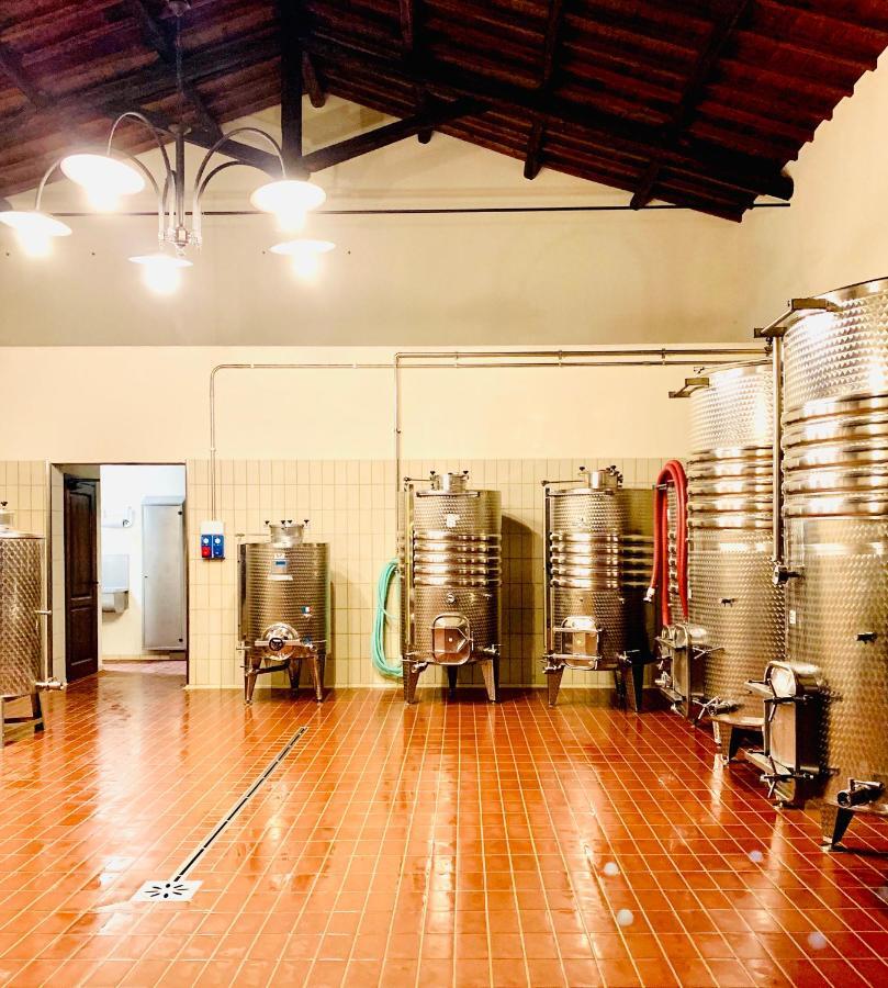 Fattoria Lucciano Villa Borghetto  Buitenkant foto